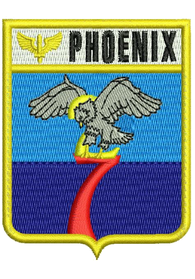 Bordados termocolantes Esquadrão Phoenix 9X7 CM